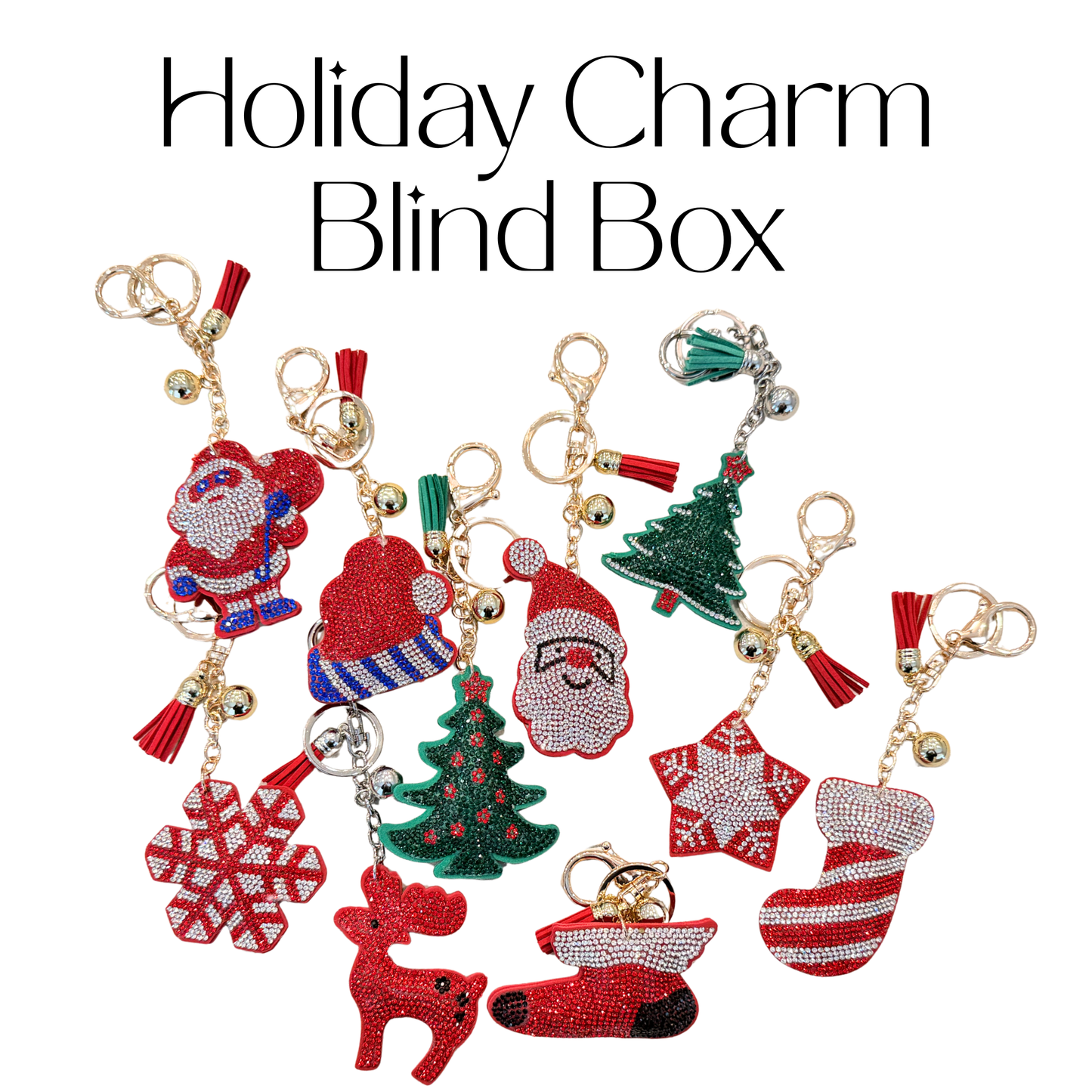 [LIVE EXCLUSIVE] Holiday Charm Blind box