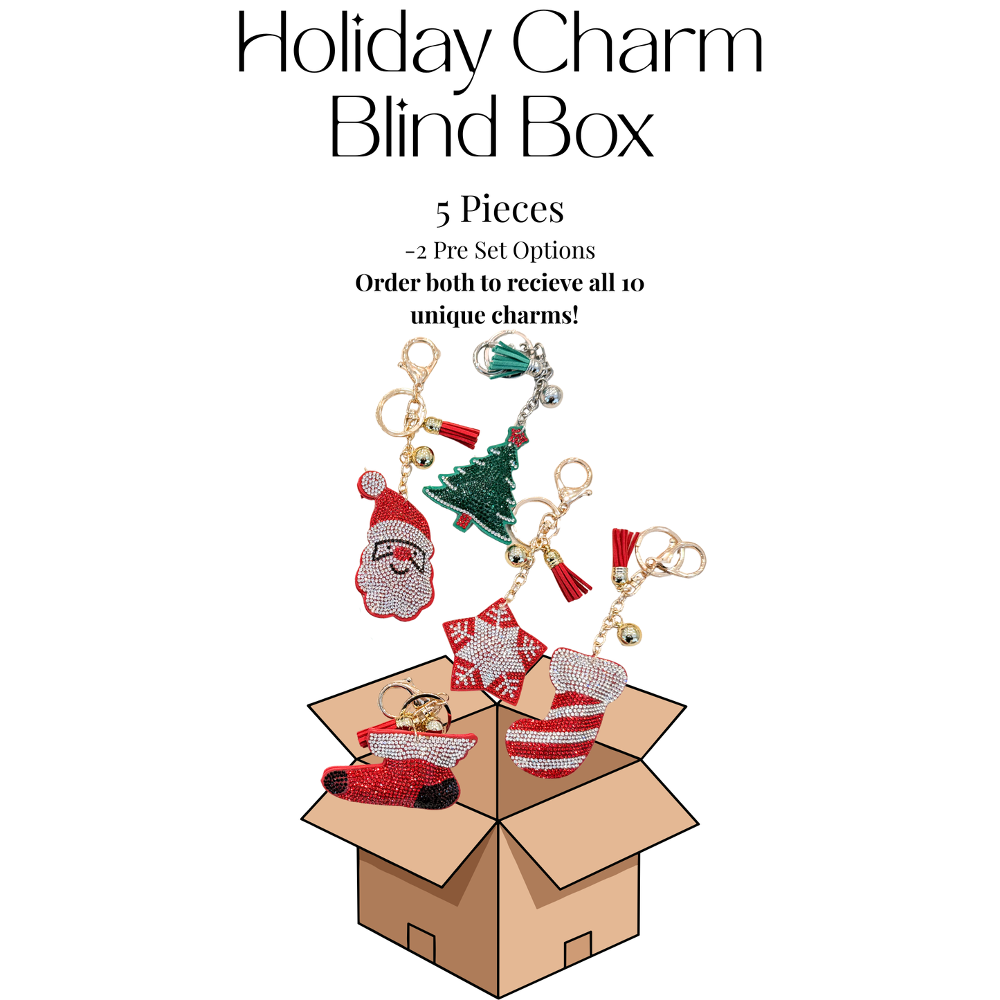 [LIVE EXCLUSIVE] Holiday Charm Blind box