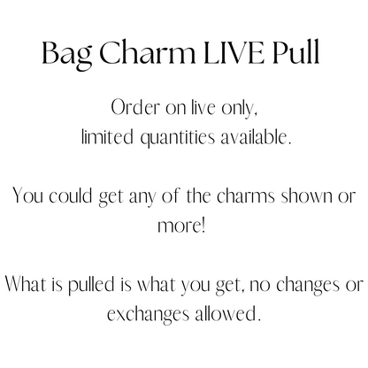 Live Pull Bag Charm Bundles, Fun Exciting Live Charm Mystery Pulls